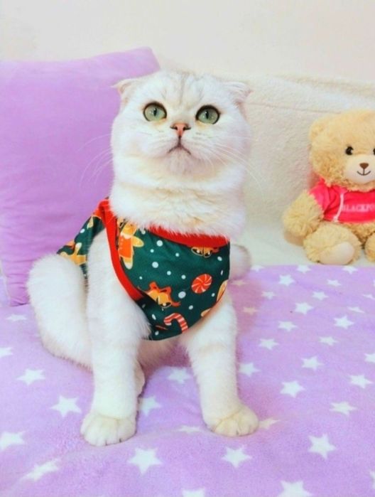 Срібний красунчик хлопчик Ведмедик