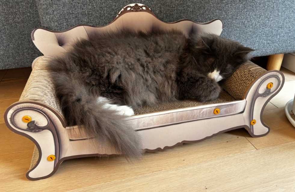 Drapak legowisko sofa tron tekturowy mata do drapania dla kota