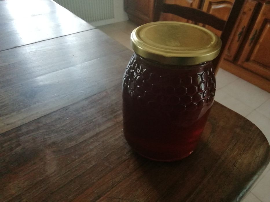 Mel multiflora de 2025