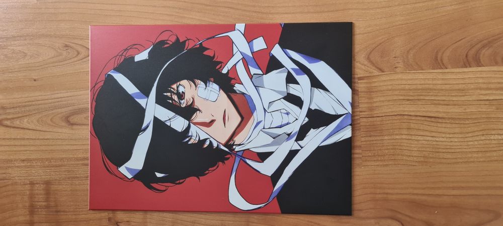 Placa de metal para parede, anime