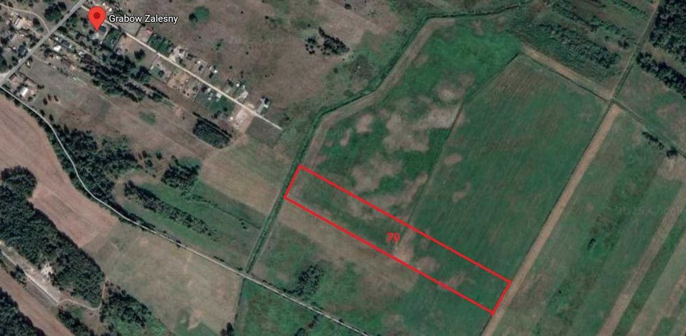 Działka Grabów Zaleśny 11425m