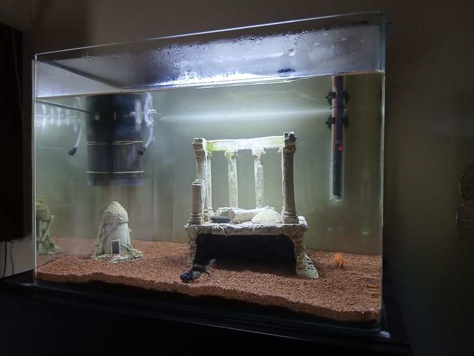 Aquário  com acessórios incluídos