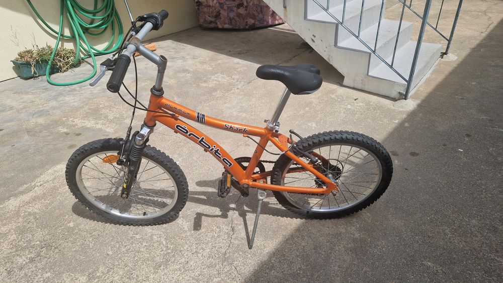 Bicicketa orbita
