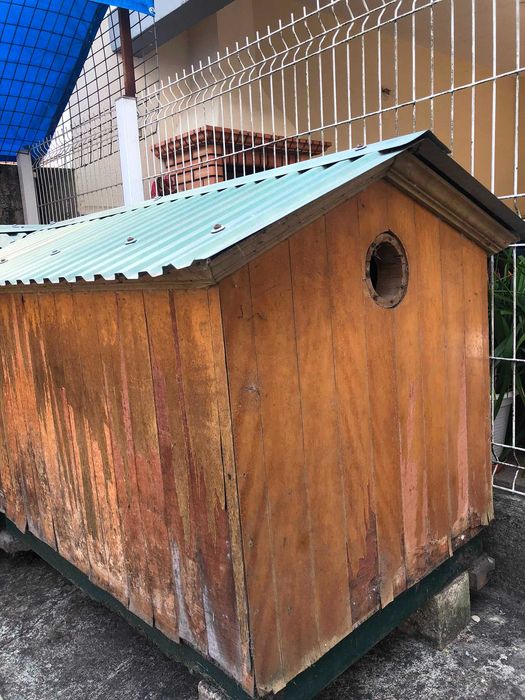 Casota para cão - Lar de sonho para o seu amigo de 4 patas