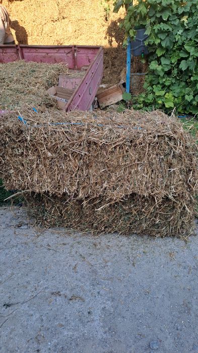 Продам сіно в  тюках 100 грн