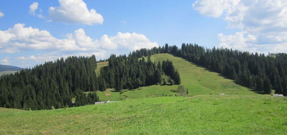 Ділянка під ГОТЕЛЬ в Карпатах (8 км від Буковелю) поблизу асфальтованої дороги