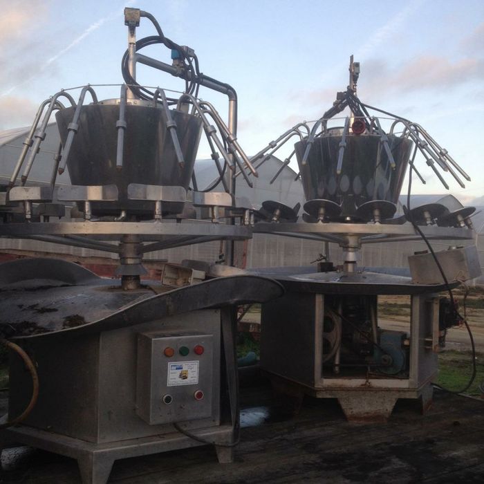 Engarrafar garrafão 5Lt