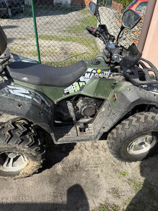 Quad Apollo Magnum 250