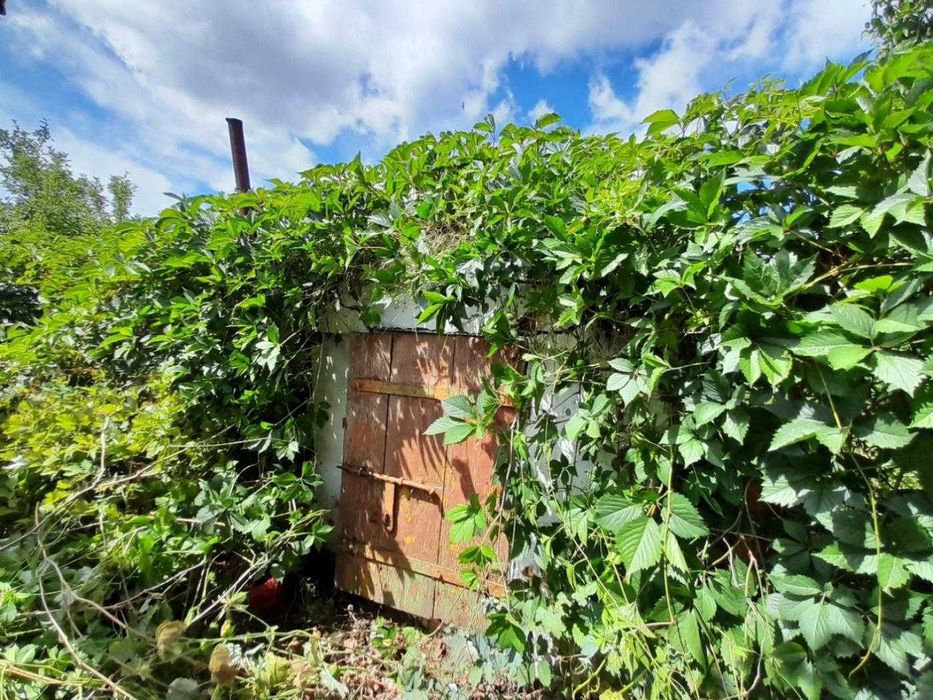 Продаж будинок під реконструкцію та земельна ділянка 61 сотих с. Бабичі, Львівська обл.