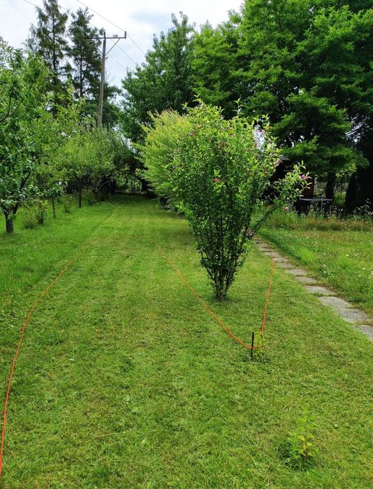 Działka ROD 4,5 ara Zabierzów Wyspiańskiego - Widok 4