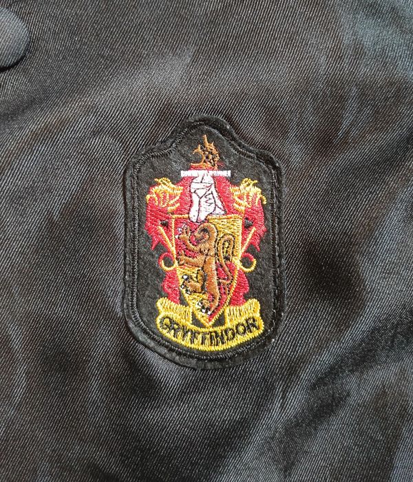 Strój Harry Potter z różdżkami