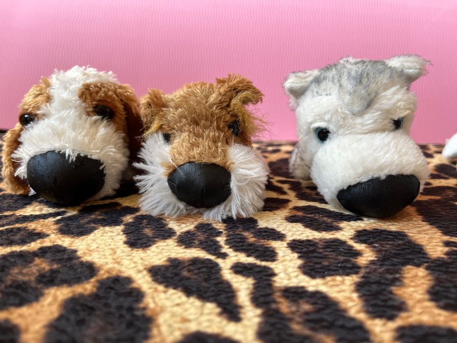 Котики собачки The dog collection, The cat collection, м'які іграшки