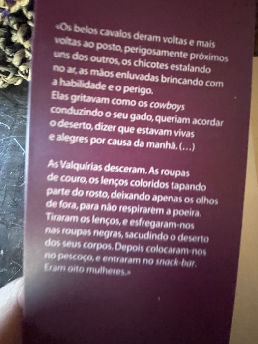 Paulo Coelho As Valquírias excelente estado
