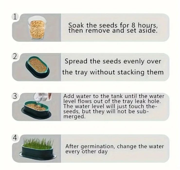 Pudełko do sadzenia trawy dla kotów, papug, królików