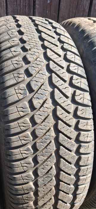 Opony 185/65R15 Debica Caloroczne