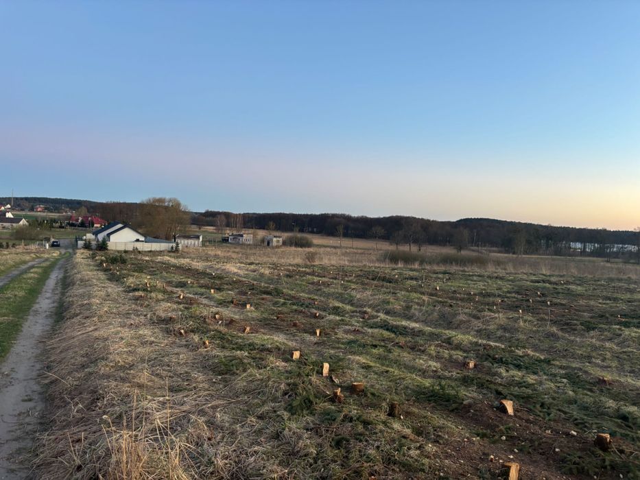 Przybiernów 750m z warunkami zabudowy!!