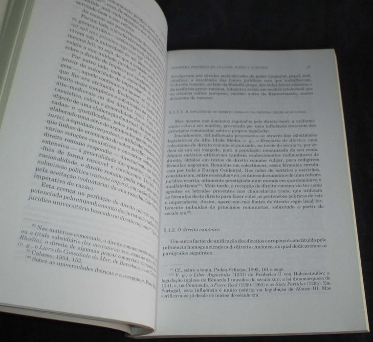Livro Panorama Histórico da Cultura Jurídica Europeia António Hespanha