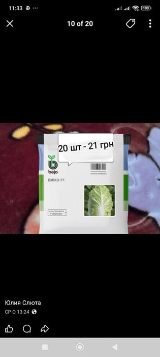 Насіння Нідерланди, голландське