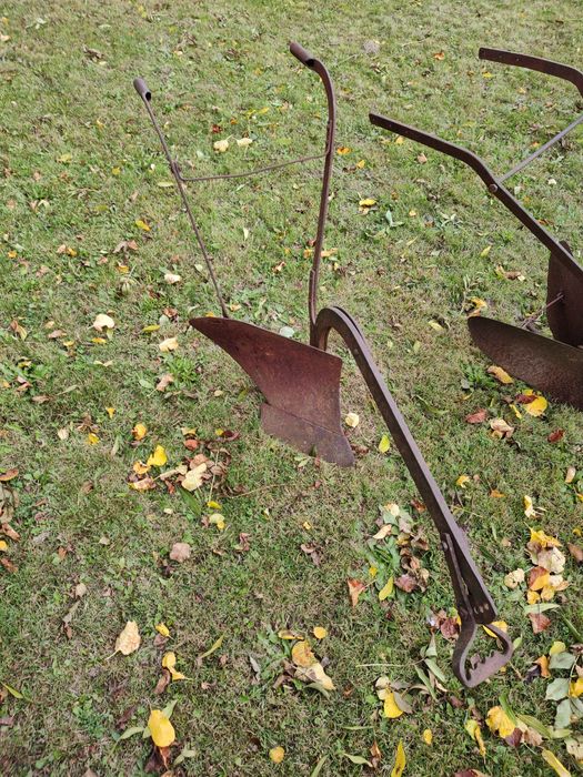 Sprzedam Sprzęty konne