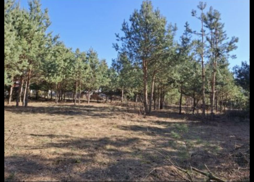 Działka na mazurach, wieś Kolonia gmina Świętajno. Wydane war.zabudowy