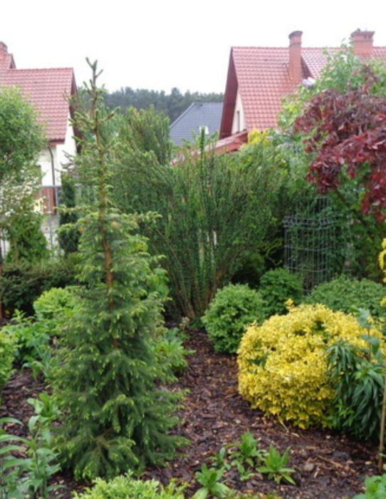 Wykonuje wszystkie prace ogrodowe