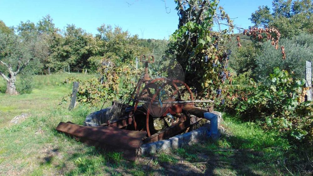 Venda: Quinta em Celorico da Beira/ Vila Boa Do Mondego