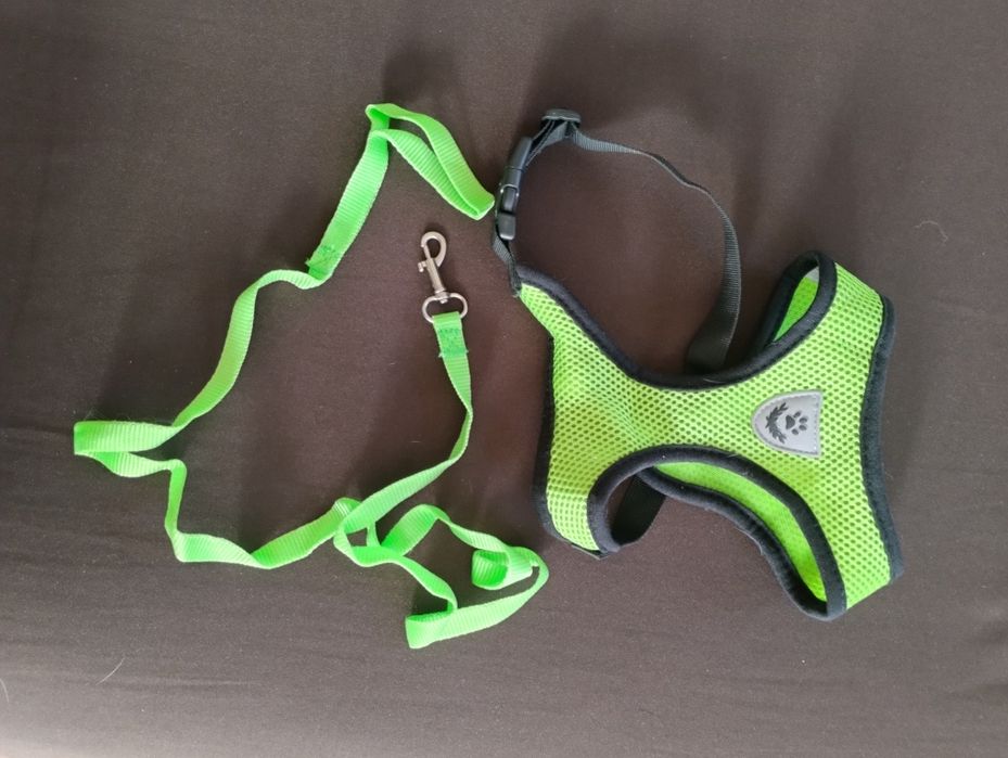 Все для собачки.