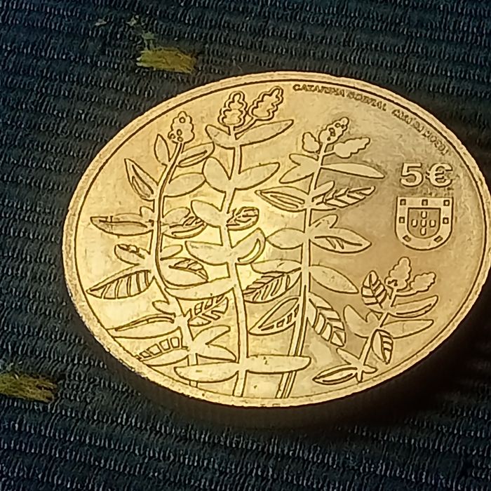 moeda  5.00 Hortela brava de folha longa