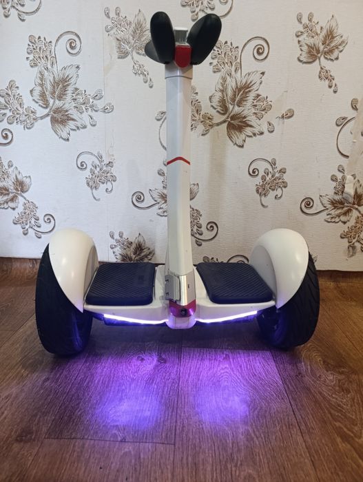 Segway Ninebot S (Mini PRO)