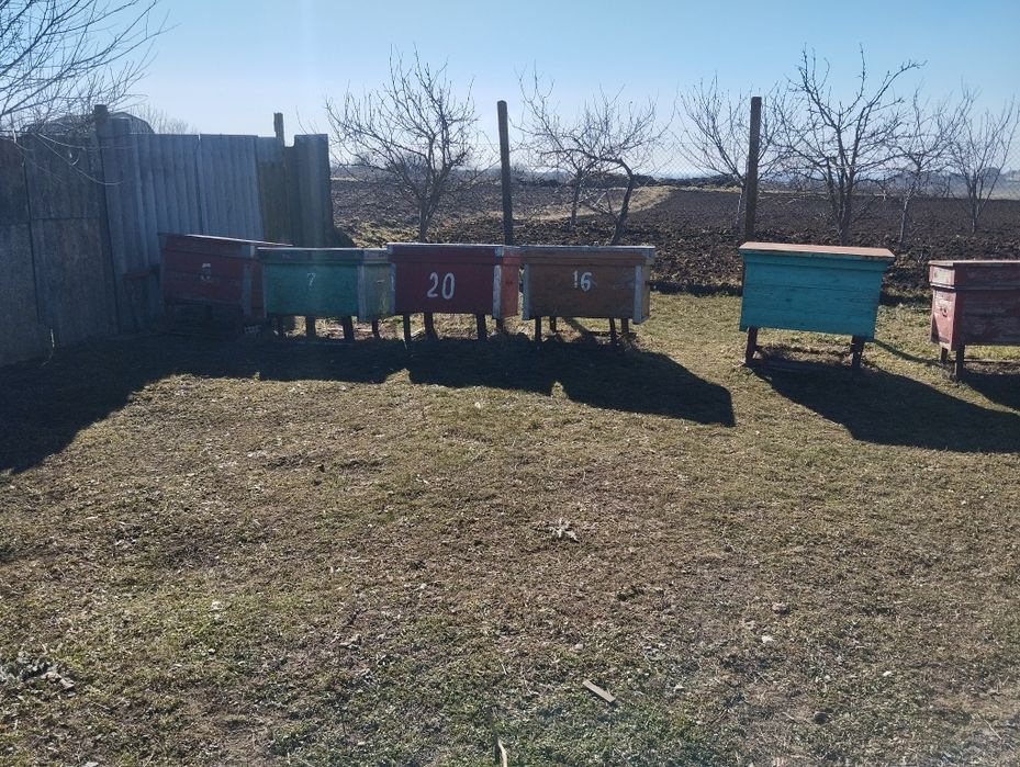 Продам вулики для пчіл