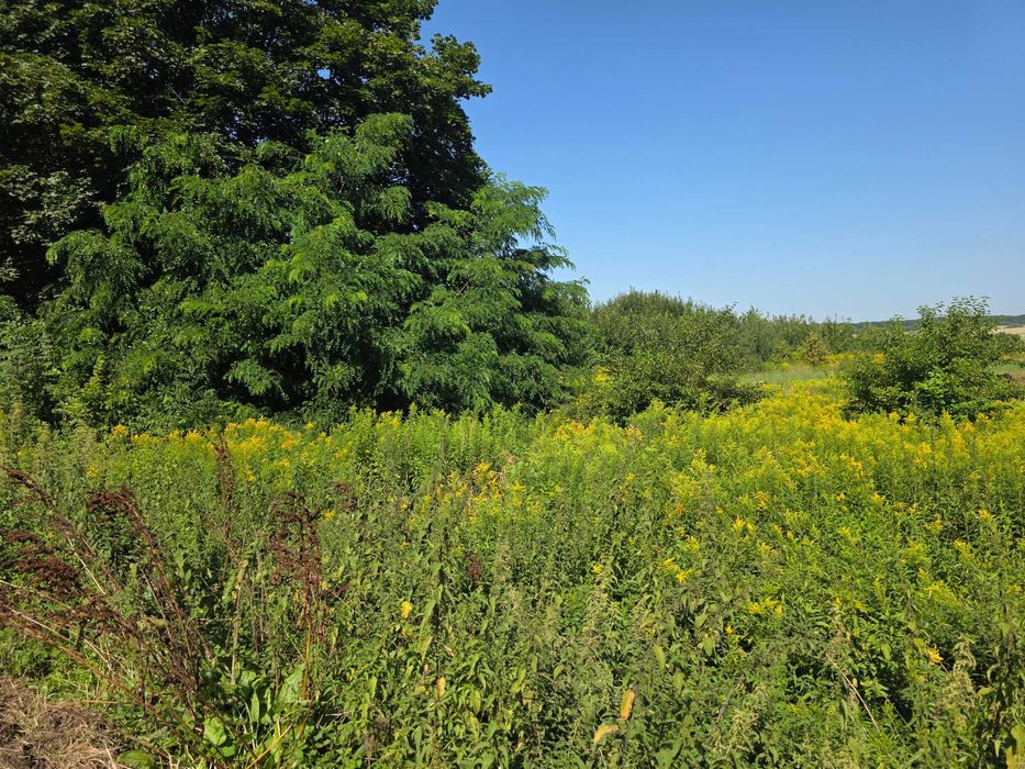 Ділянка на Трасі  Львів - Самбір 1-ша лінія 50 соток