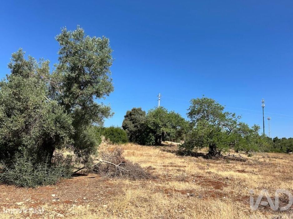 Terreno em Luz de Tavira e Santo Estêvão de 5570,00 m2