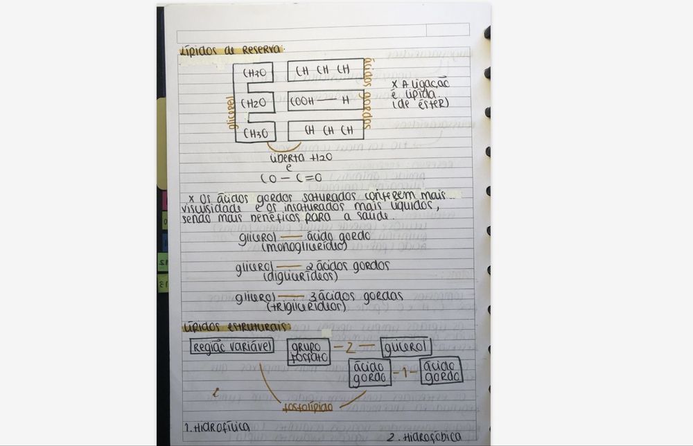 Resumos para preparação de exame nacional IAVE Biologia e Geologia