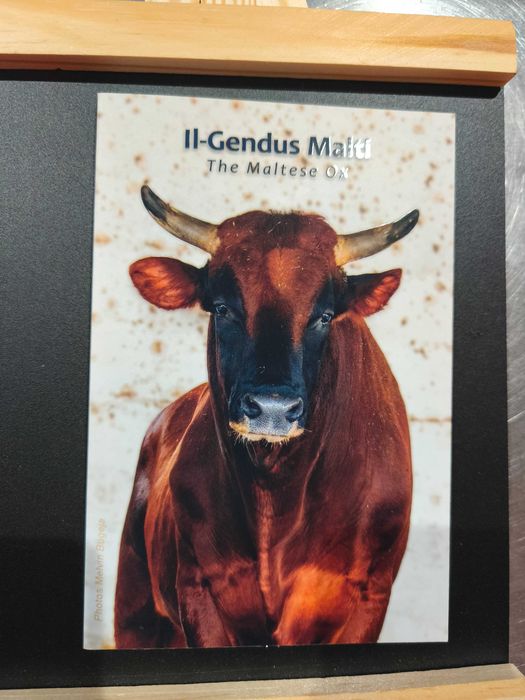 Malta 2025 - Moeda 2€ em Coincard  Touro Maltês