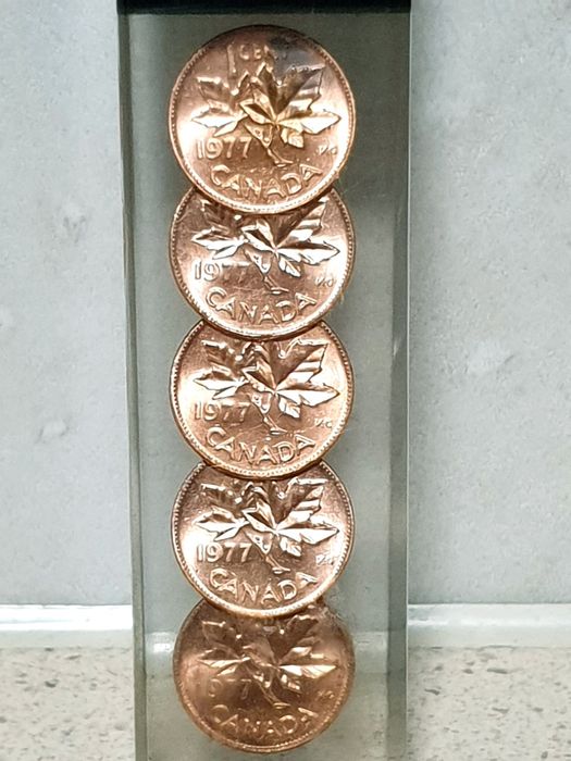 Abre caricas / garrafas canadiano vintage em resina com moedas