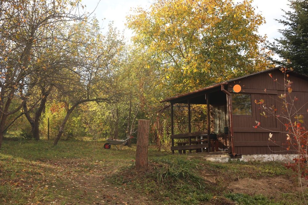 Działka ROD Oaza Uniszowice, pięknie położona, duża 500 m² z domkiem drewnianym, prąd, woda - Widok 5