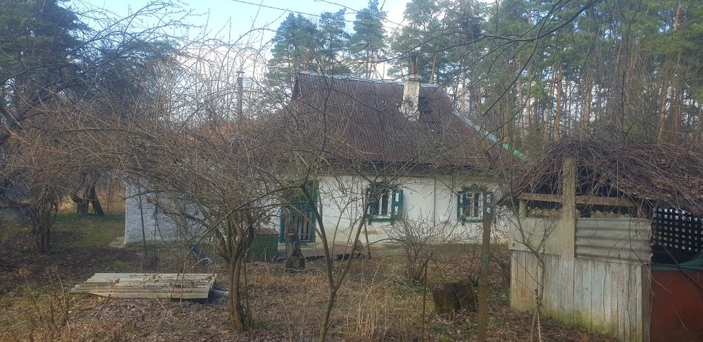 Забір'я.(Жорнівка)  будинок 62м.кв., на ділянці 15сот., майже в лісі.