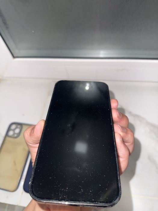 iphone 12 pro max