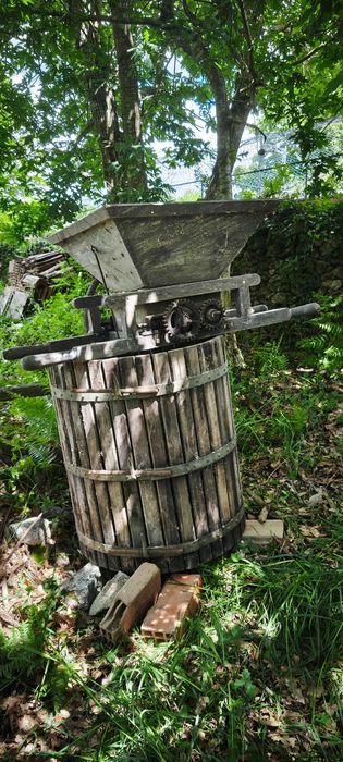 Esmagadeira de uvas antiga