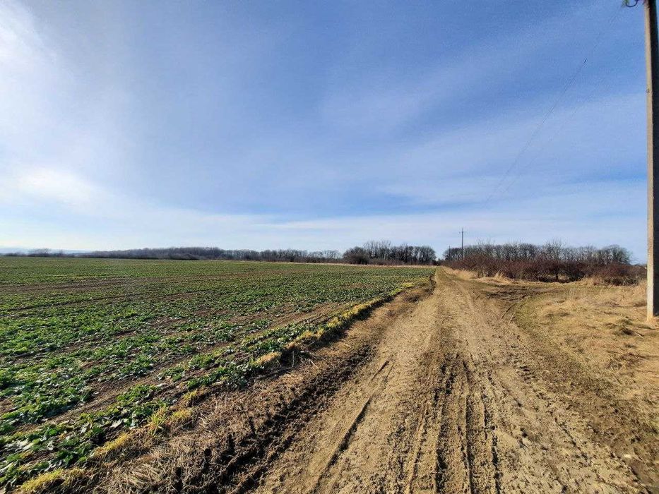 Продаж земельної ділянки село Дуліби