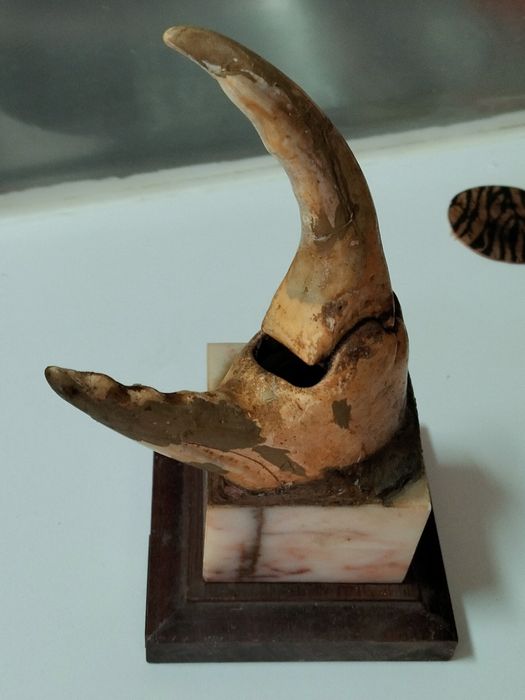 Escultura tenáz de sapateira