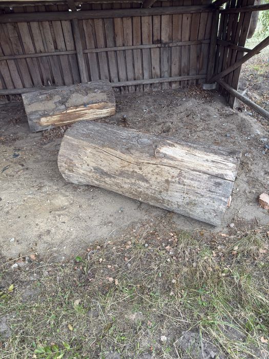 Dąb sezonowany idealny na plastry do stolikow itp