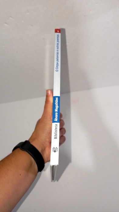 O Limpa-Palavras e outros Poemas - Álvaro Magalhães