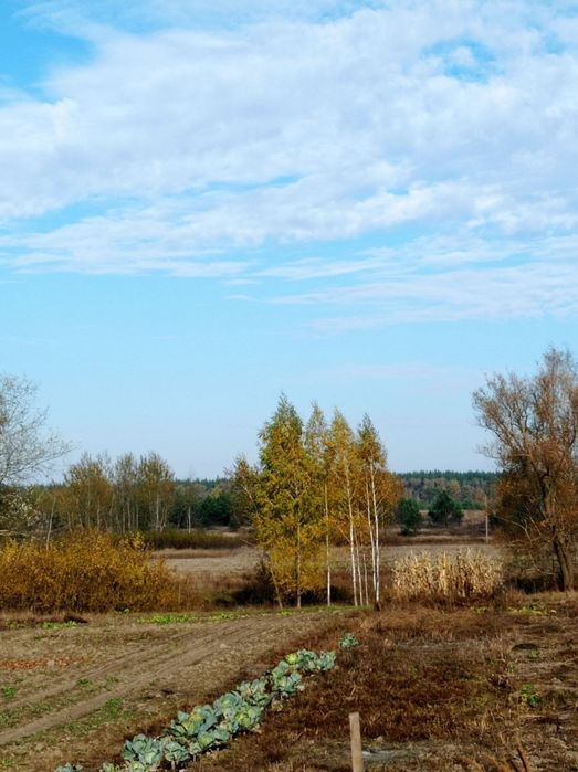 Продам будинок в селі Серединка Чернігівського району