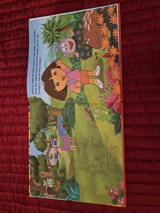 Dora Exploradora - Dora e Diogo