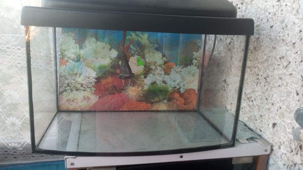 Акваріум для риб