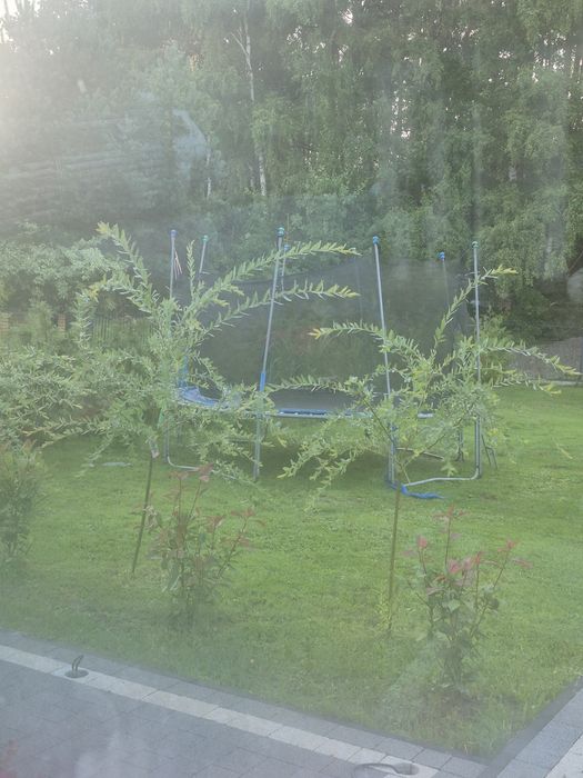 Trampolina 370 Olimpic