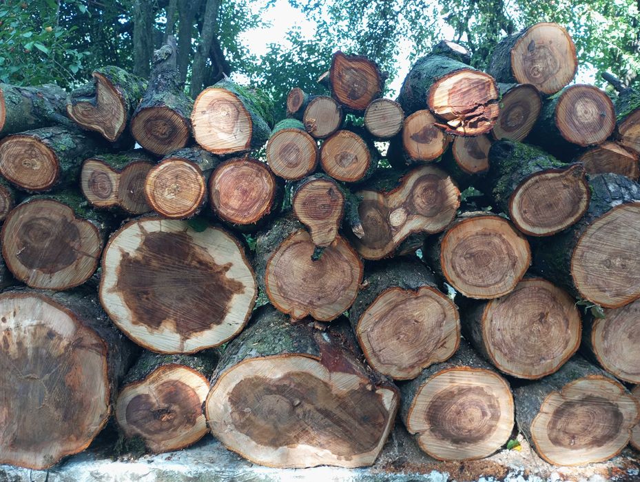 drewno na opał lub owocowe do wędzenia lub do kominka wiśnia jabłoń