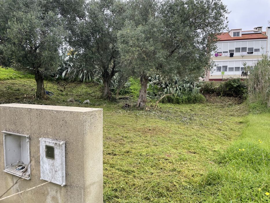 Limpeza de terrenos e corte de arvores e entre outras