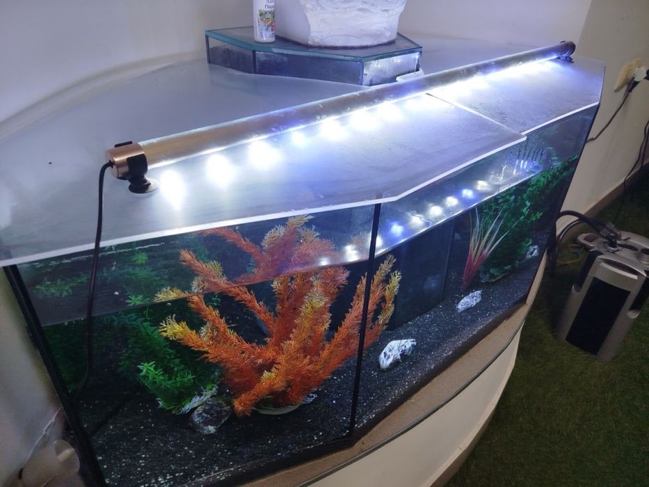 Великий акваріум на 345 л